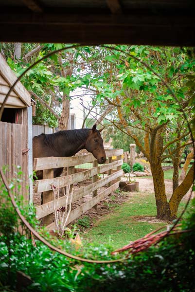 Modern Weddings magazine photo