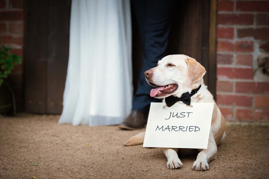 Modern Weddings magazine photo