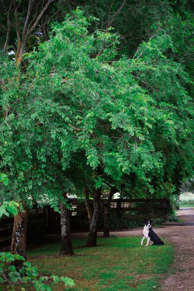 Modern Weddings magazine photo